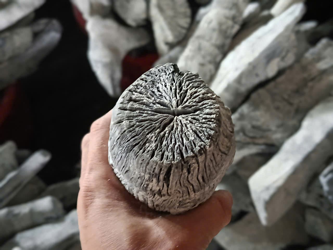 White charcoal